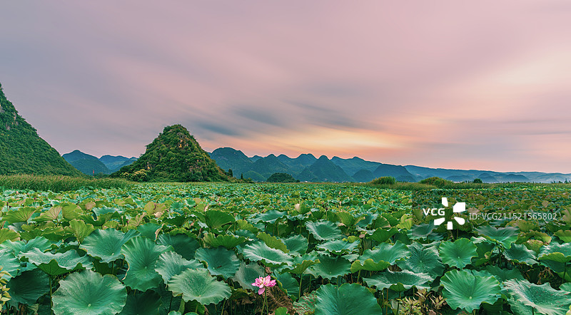 美丽晚霞下的云南省文山州丘北县普者黑图片素材