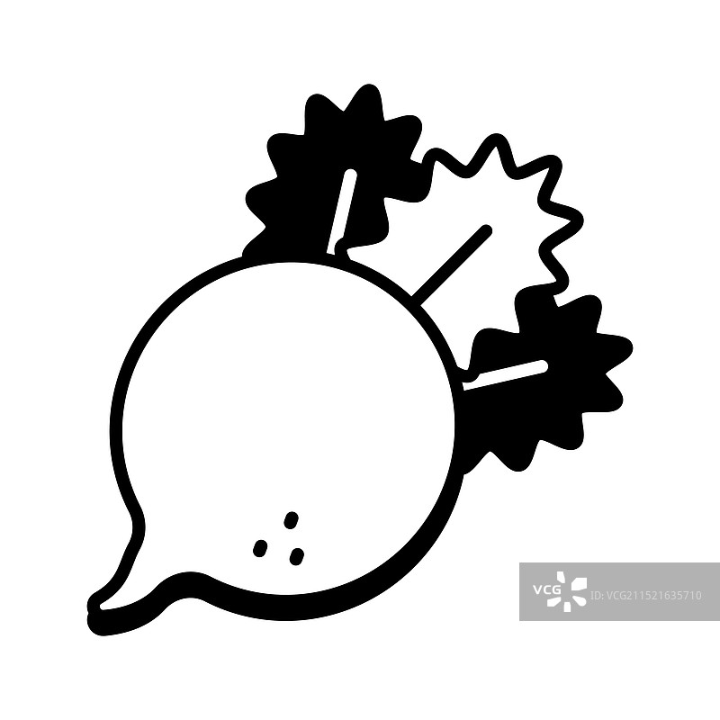 花园萝卜图片素材