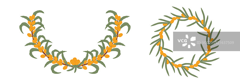 两个沙棘浆果花环图片素材