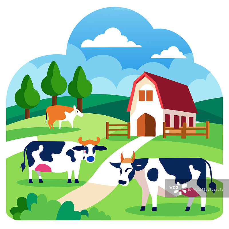 在安静农场上吃草的奶牛图片素材