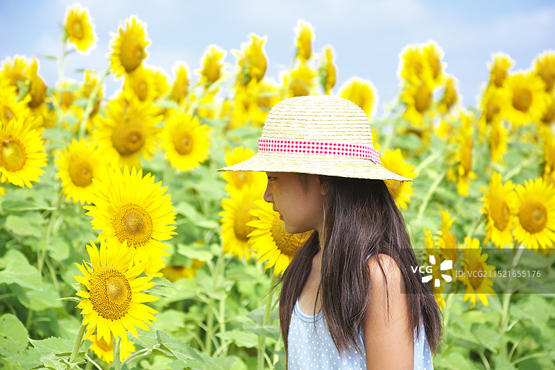 女孩看向日葵花图片素材