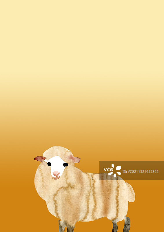 金色渐变背景下的正面羊图片素材
