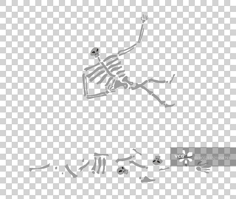 骷髅和人骨插画元素图片素材