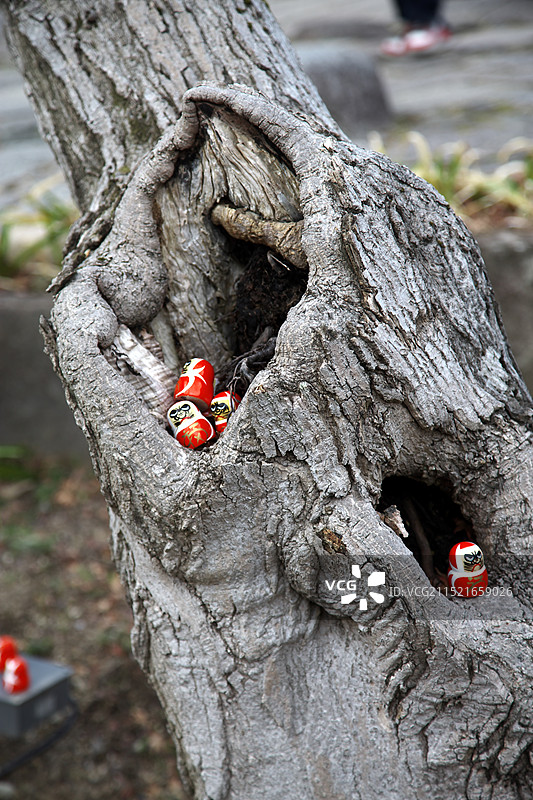 胜尾寺的不倒翁图片素材