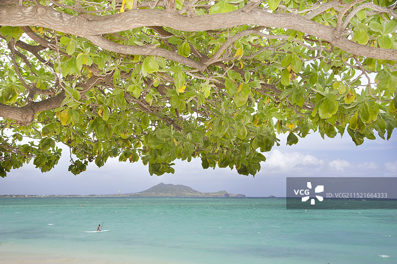 凯卢阿海滩的冲浪者图片素材