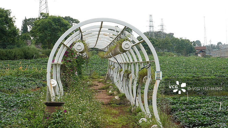 3A景区云南文山砚山县中澳生态旅游区风光图片素材