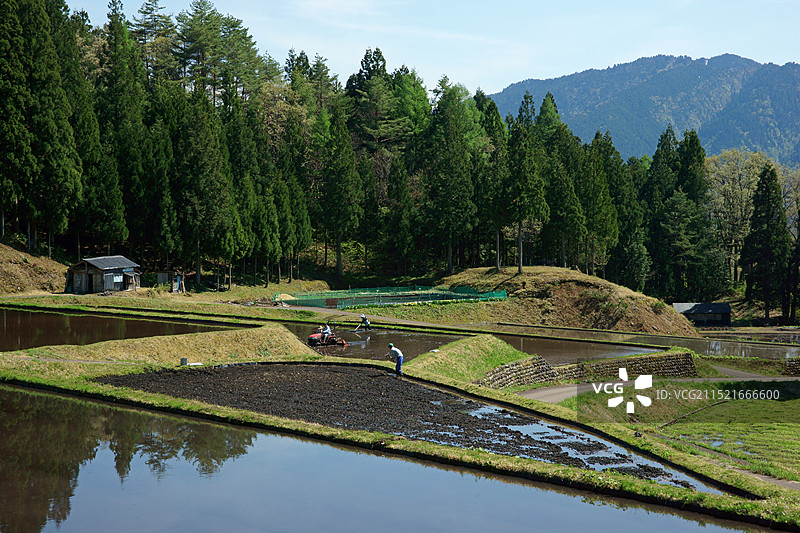 耕地和灌溉农田图片素材