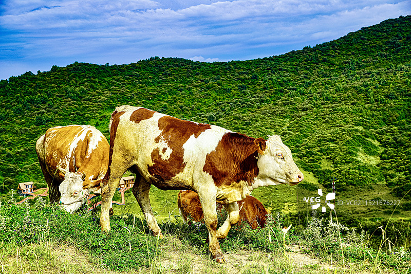 临夏康乐县草长沟景区图片素材
