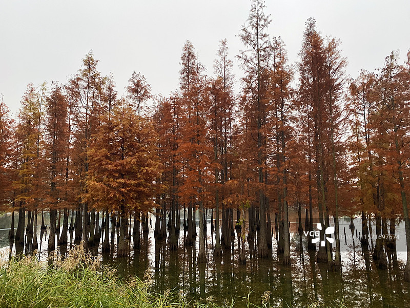成都三圣花乡观光旅游区图片素材