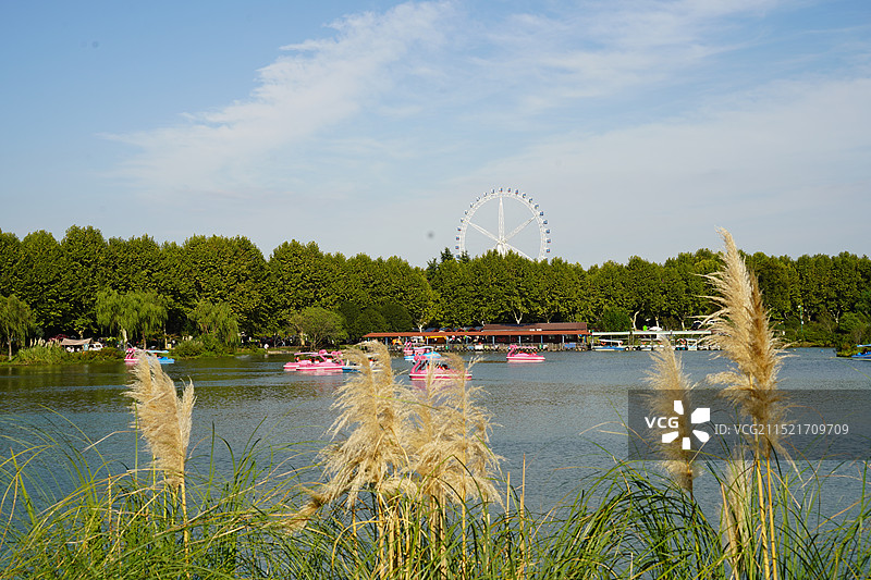 宜兴龙背山森林公园的摩天轮图片素材