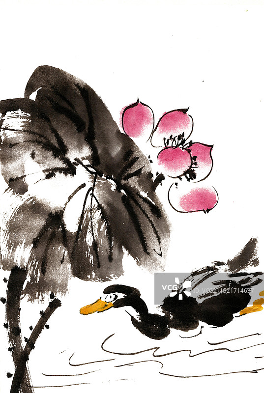 荷花下的鸭子图片素材