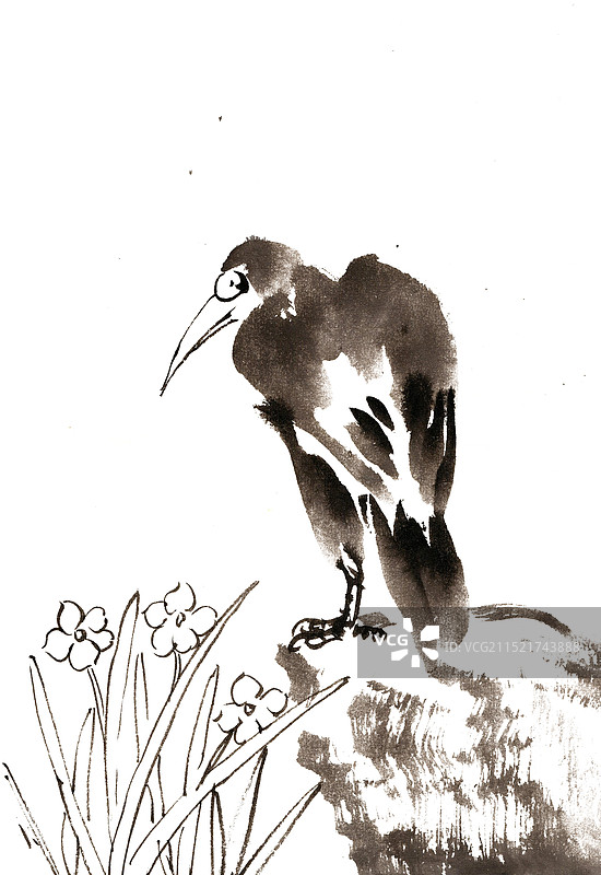 水仙花与小鸟图片素材