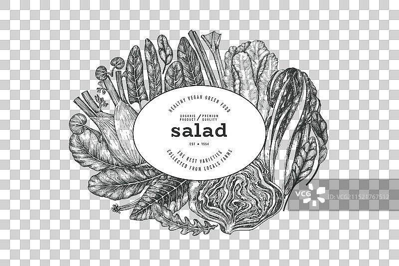 手绘绿色蔬菜设计模板图片素材