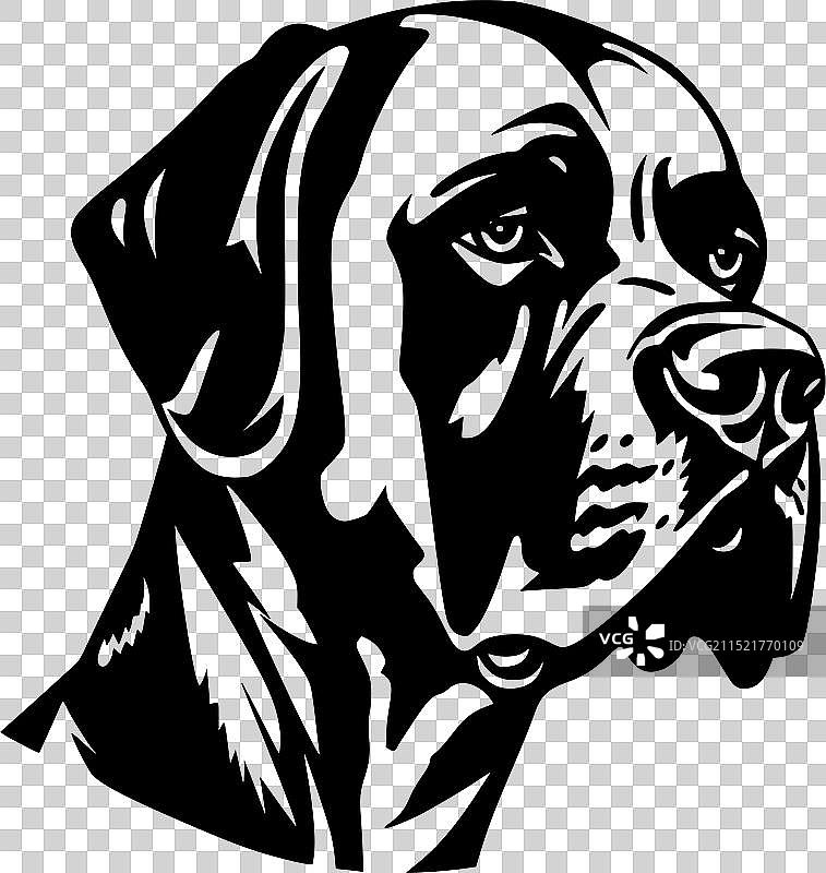 黑白拳击手图片素材