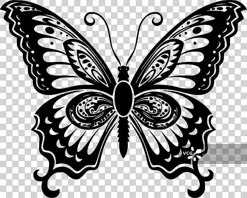 蝴蝶 - 极简风格的平面logo图片素材