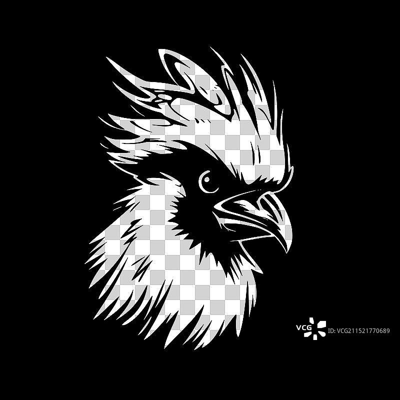 黑白鹦鹉图片素材