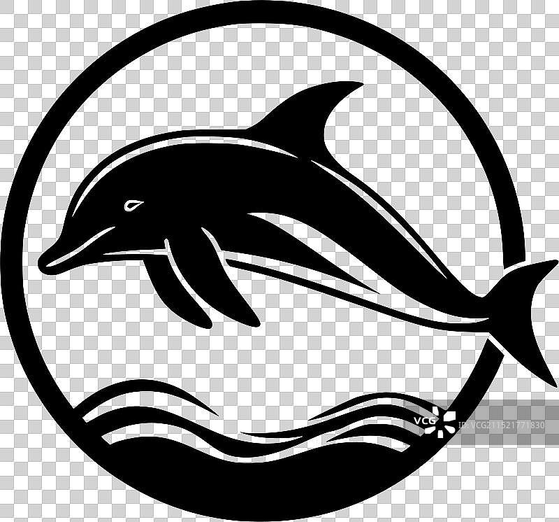 黑白海豚图片素材