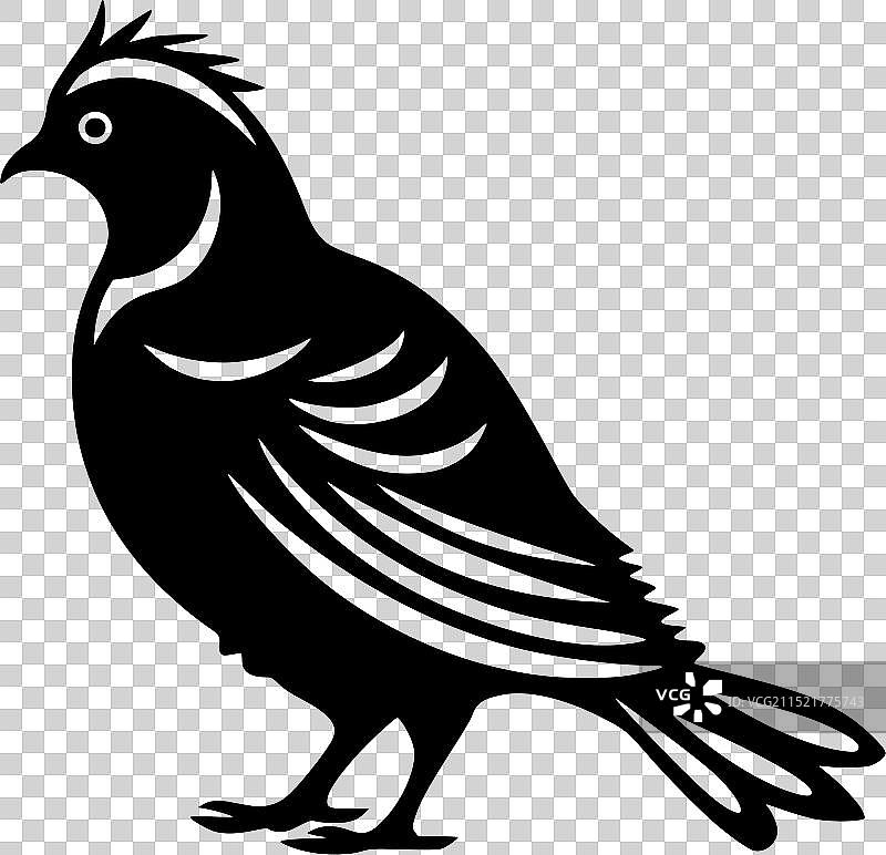 黑白色鸽子隔离图标图片素材