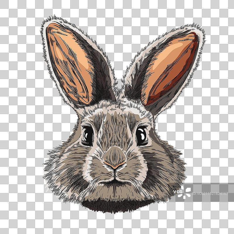 可爱的手绘小兔子图标图片素材