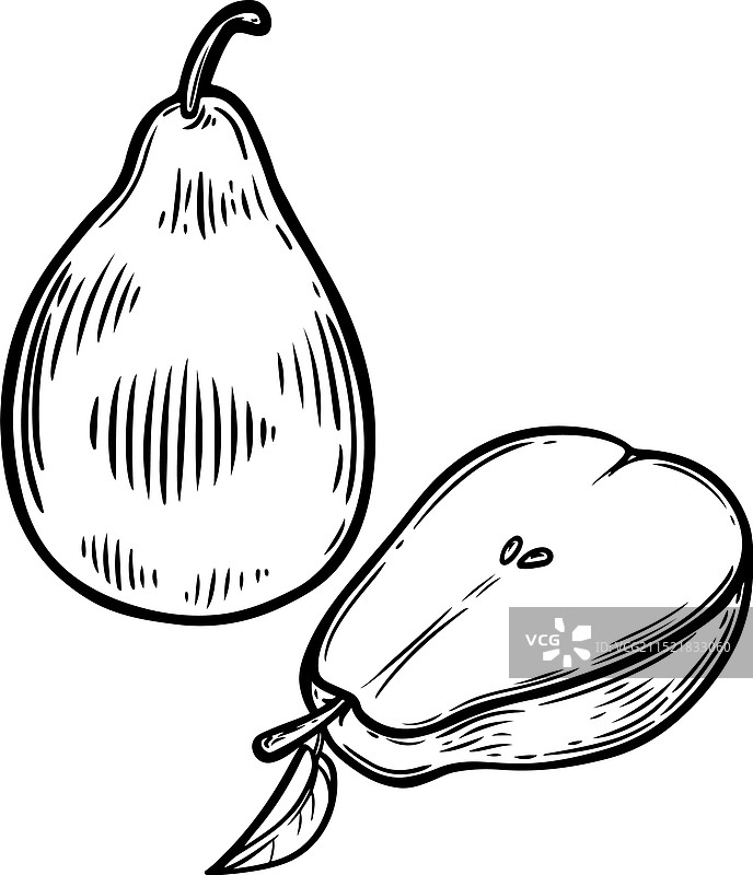 白色背景上的梨子水果线条画图片素材