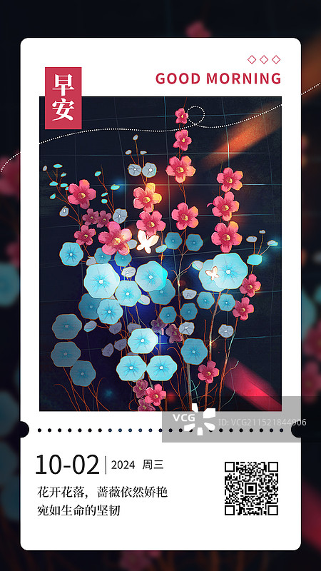 蔷薇花日签图片素材