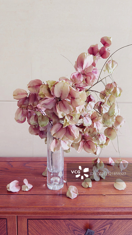 静物棕色木质柜子上的栾树果子果实插花玻璃花瓶秋天图片素材