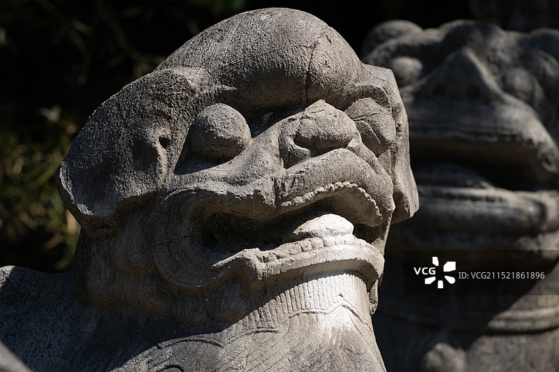 桂林七星公园古代大型石刻展 桂城遗痕 石狮子图片素材