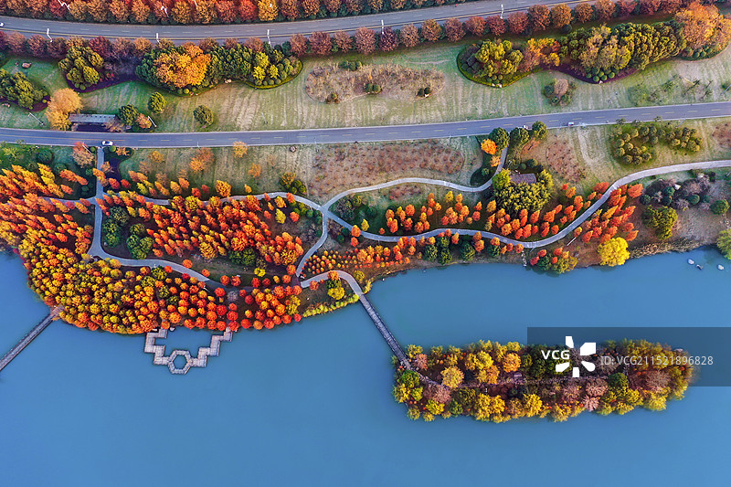 阜阳尤家花园·五里湖湿地旅游区图片素材