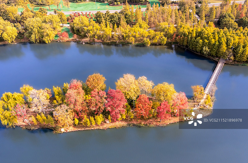 阜阳尤家花园·五里湖湿地旅游区图片素材