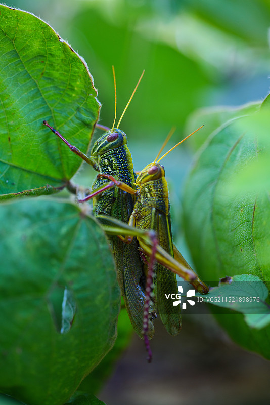 亲密时刻图片素材