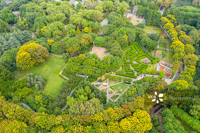 航拍植物迷宫 郑州植物园儿童探索园 英国汉普顿宫同款微缩版 树墙游乐园图片素材