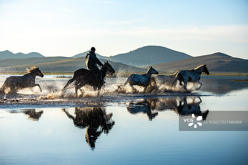 航拍内蒙古赤峰市乌兰布统草原坝上将军泡子马踏水花图片素材