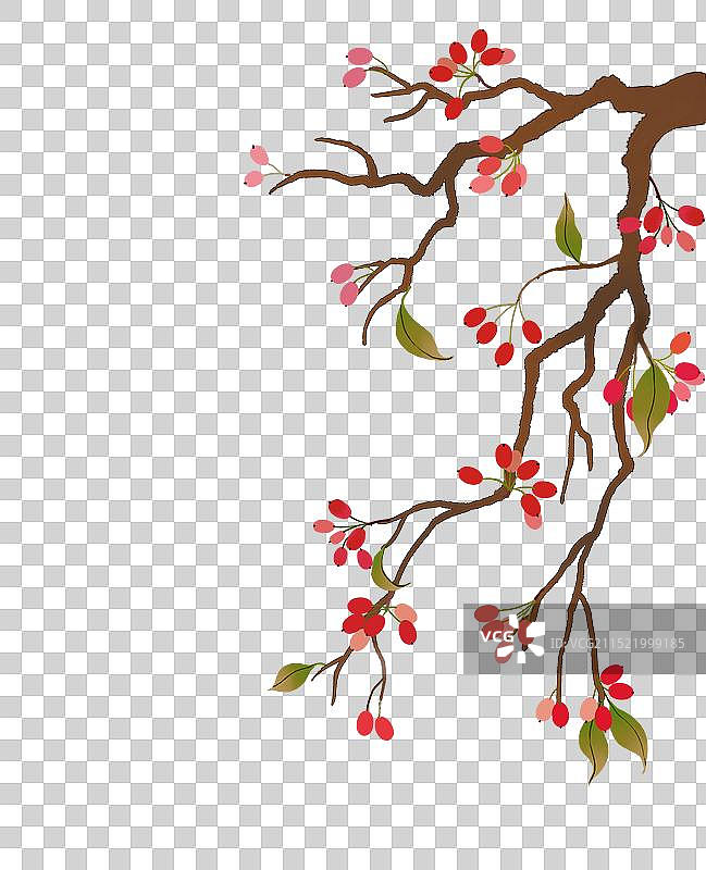 茱萸元素图片素材