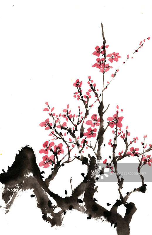 红色的梅花图片素材