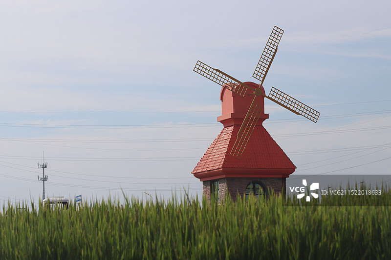 杭州湾海上花田景区图片素材