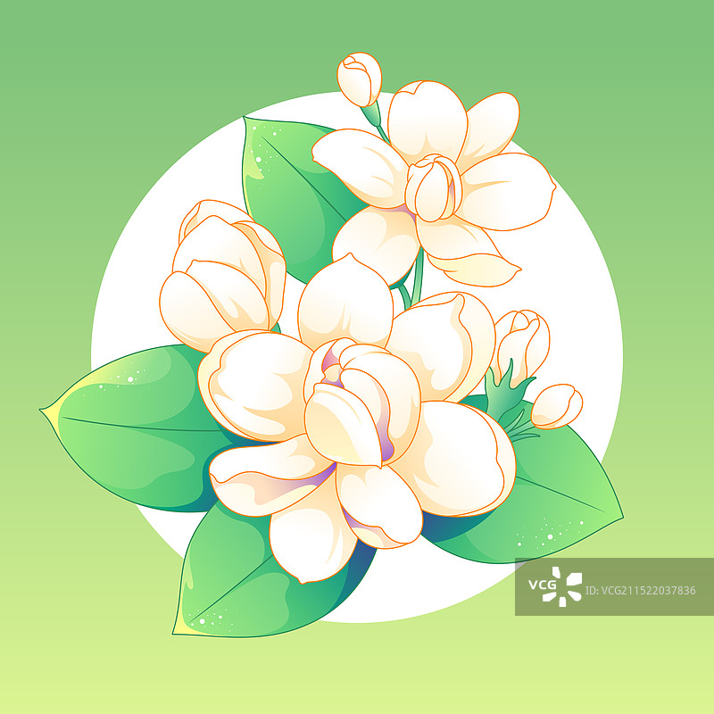 茉莉花国风矢量插画图片素材