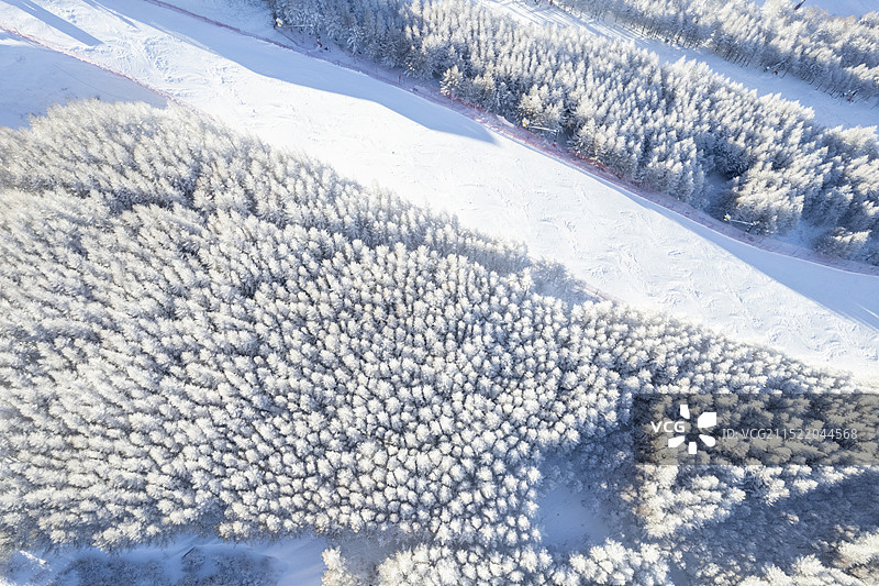 冬季崇礼滑雪场自然风景图片素材