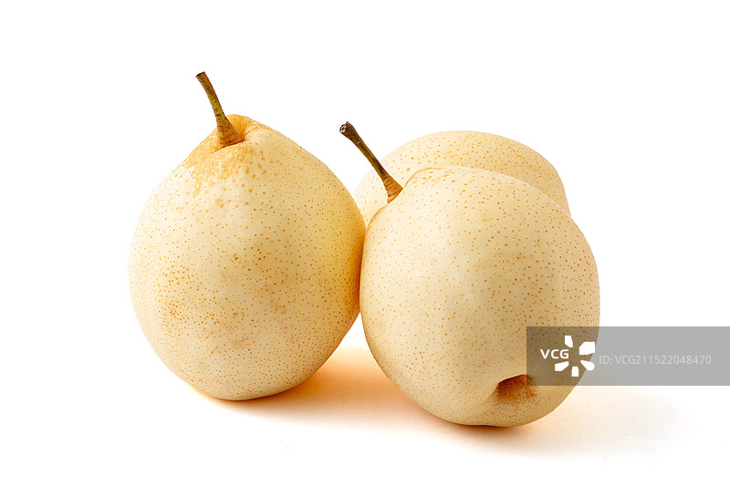 河北泊头鸭梨图片素材