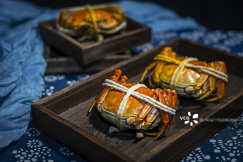 中秋节吃膏满黄肥的清蒸阳澄湖大闸蟹图片素材