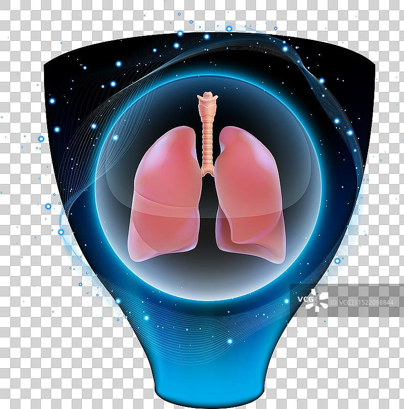 水晶球内健康人肺部的3D图图片素材