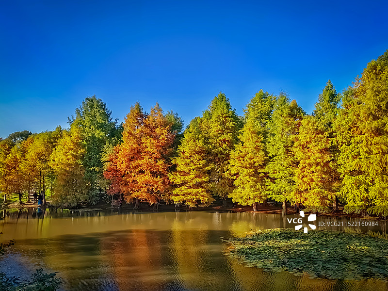 南京燕雀湖秋色图片素材