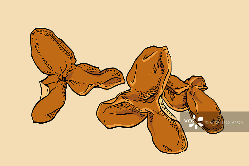 陈皮橘子果皮手绘插画图片素材