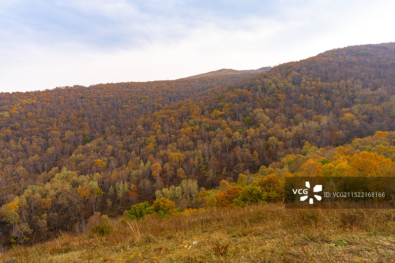 登顶北京最高峰东灵山赏秋季风光图片素材