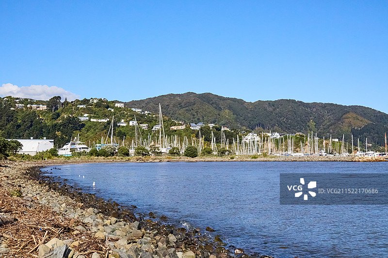 新西兰下哈特Seaview Marina码头图片素材