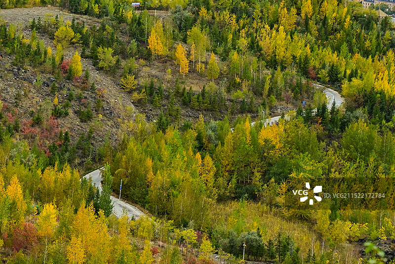 阿勒泰市桦林公园将军山秋景图片素材