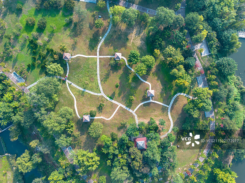 航拍视角下的公园树林和道路，唐山南湖公园航拍风光图片素材