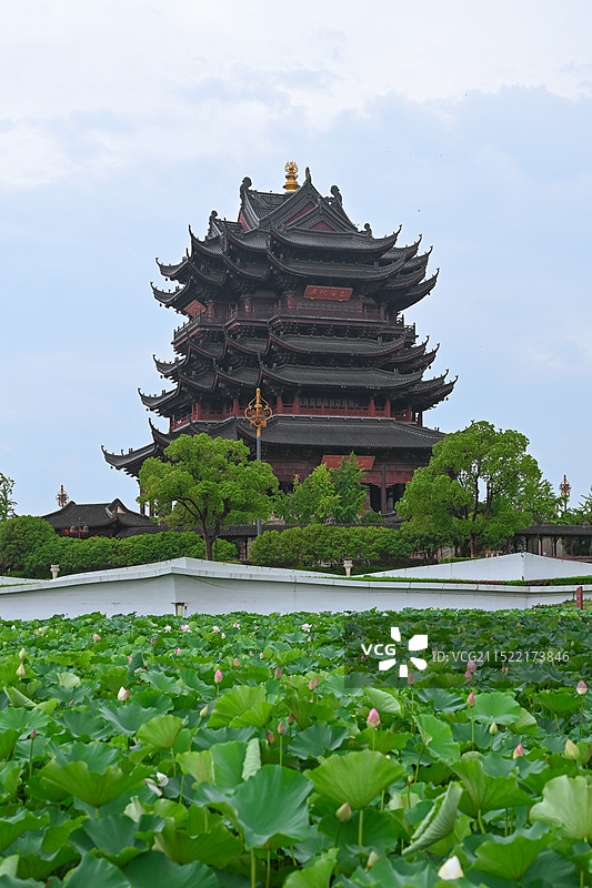夏天苏州重元寺的荷花图片素材