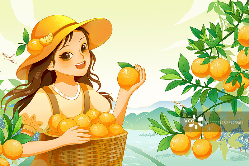 橙子包装插画图片素材