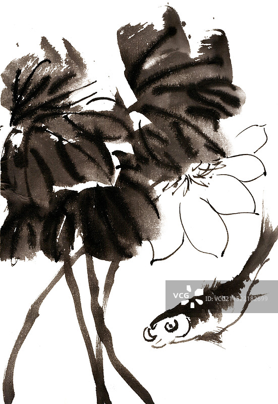 荷花与鱼图片素材