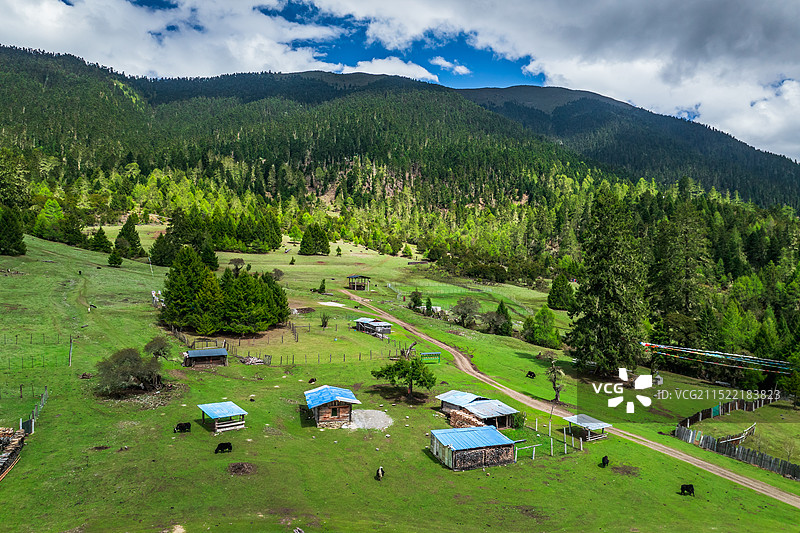 西藏G318波密县鲁朗林海扎西岗村自然风光图片素材